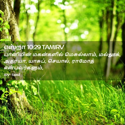 Picture 02 - எஸ்றா 10:29 TAMIRV - பானியின் - Bible Verse Picture