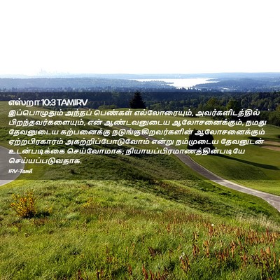 Picture 02 - எஸ்றா 10:3 TAMIRV - இப்பொழுதும் - Bible Verse Picture