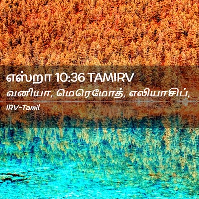 Picture 02 - எஸ்றா 10:36 TAMIRV - வனியா, மெரெமோத், - Bible Verse Picture