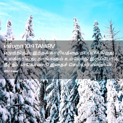 Picture 02 - எஸ்றா 10:4 TAMIRV - எழுந்திரும்; - Bible Verse Picture