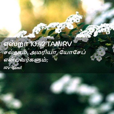 Picture 02 - எஸ்றா 10:42 TAMIRV - சல்லூம், அமரியா, - Bible Verse Picture