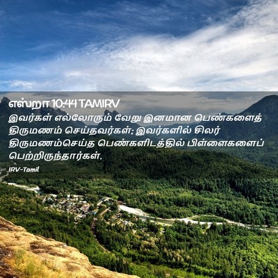 Picture 02 - எஸ்றா 10:44 TAMIRV - இவர்கள் எல்லோரும் - Bible Verse Picture
