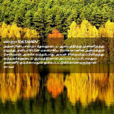 Picture 02 - எஸ்றா 10:6 TAMIRV - அதன்பின்பு எஸ்றா - Bible Verse Picture