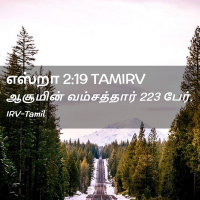 Picture 02 - எஸ்றா 2:19 TAMIRV - ஆசூமின் - Bible Verse Picture
