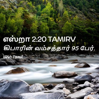 Picture 02 - எஸ்றா 2:20 TAMIRV - கிபாரின் - Bible Verse Picture