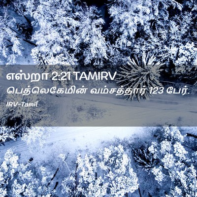 Picture 02 - எஸ்றா 2:21 TAMIRV - பெத்லெகேமின் - Bible Verse Picture
