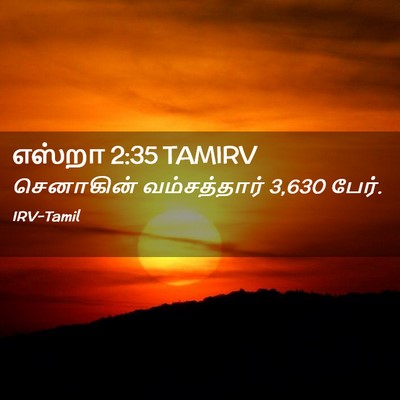 Picture 02 - எஸ்றா 2:35 TAMIRV - செனாகின் - Bible Verse Picture