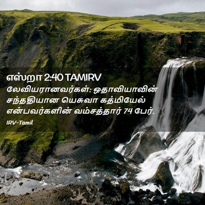 Picture 02 - எஸ்றா 2:40 TAMIRV - லேவியரானவர்கள்: - Bible Verse Picture