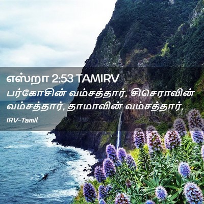 Picture 02 - எஸ்றா 2:53 TAMIRV - பர்கோசின் - Bible Verse Picture