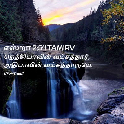 Picture 02 - எஸ்றா 2:54 TAMIRV - நெத்சியாவின் - Bible Verse Picture