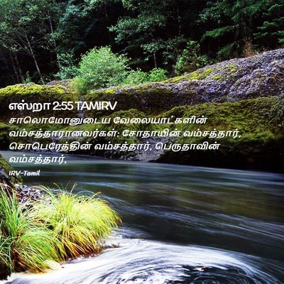 Picture 02 - எஸ்றா 2:55 TAMIRV - சாலொமோனுடைய - Bible Verse Picture