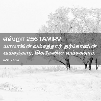 Picture 02 - எஸ்றா 2:56 TAMIRV - யாலாகின் - Bible Verse Picture