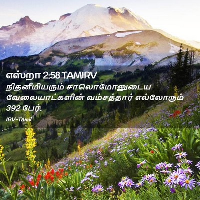 Picture 02 - எஸ்றா 2:58 TAMIRV - நிதனீமியரும் - Bible Verse Picture