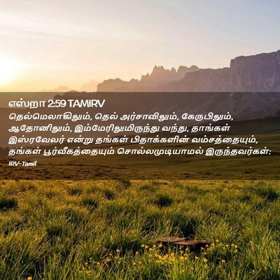 Picture 02 - எஸ்றா 2:59 TAMIRV - தெல்மெலாகிலும், - Bible Verse Picture