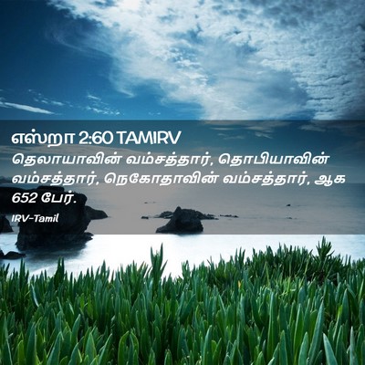 Picture 02 - எஸ்றா 2:60 TAMIRV - தெலாயாவின் - Bible Verse Picture