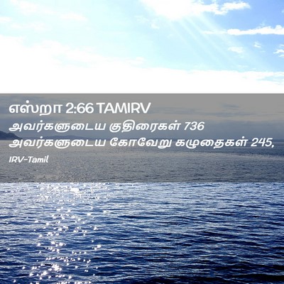 Picture 02 - எஸ்றா 2:66 TAMIRV - அவர்களுடைய - Bible Verse Picture