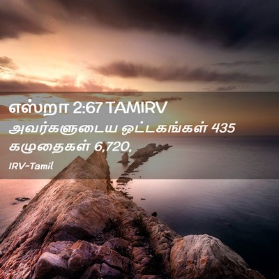 Picture 02 - எஸ்றா 2:67 TAMIRV - அவர்களுடைய - Bible Verse Picture