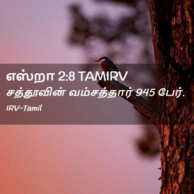 Picture 02 - எஸ்றா 2:8 TAMIRV - சத்தூவின் - Bible Verse Picture