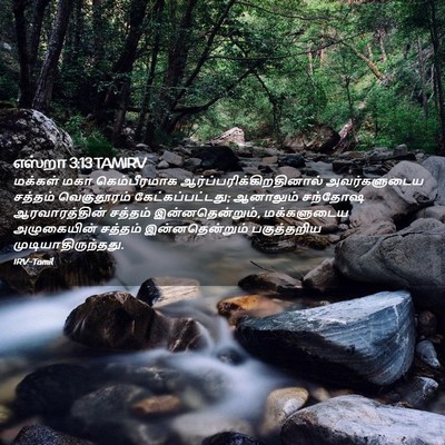 Picture 02 - எஸ்றா 3:13 TAMIRV - மக்கள் மகா - Bible Verse Picture
