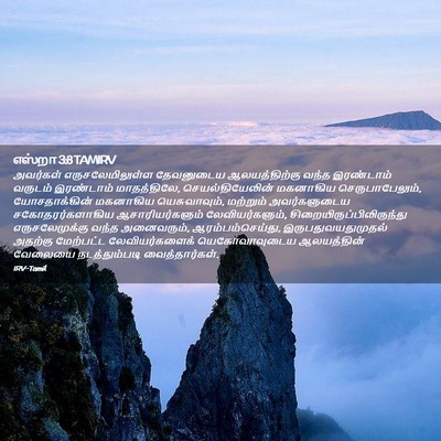 Picture 02 - எஸ்றா 3:8 TAMIRV - அவர்கள் - Bible Verse Picture