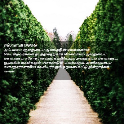 Picture 02 - எஸ்றா 3:9 TAMIRV - அப்படியே தேவனுடைய - Bible Verse Picture