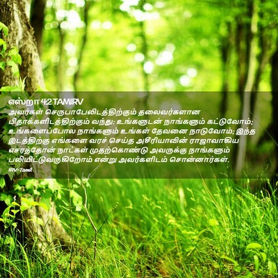 Picture 02 - எஸ்றா 4:2 TAMIRV - அவர்கள் - Bible Verse Picture