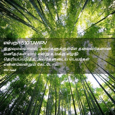 Picture 02 - எஸ்றா 5:10 TAMIRV - இதுவுமல்லாமல், - Bible Verse Picture