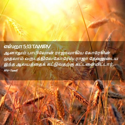 Picture 02 - எஸ்றா 5:13 TAMIRV - ஆனாலும் பாபிலோன் - Bible Verse Picture