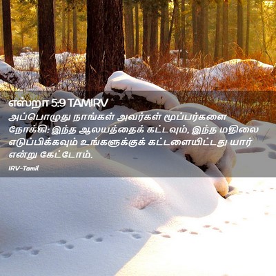 Picture 02 - எஸ்றா 5:9 TAMIRV - அப்பொழுது நாங்கள் - Bible Verse Picture
