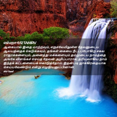 Picture 02 - எஸ்றா 6:12 TAMIRV - ஆகையால் இதை - Bible Verse Picture