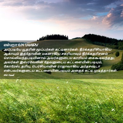 Picture 02 - எஸ்றா 6:14 TAMIRV - அப்படியே யூதரின் - Bible Verse Picture