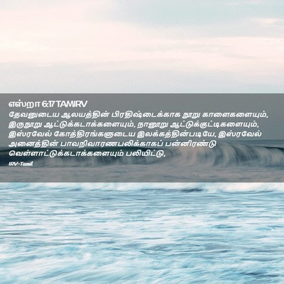 Picture 02 - எஸ்றா 6:17 TAMIRV - தேவனுடைய - Bible Verse Picture