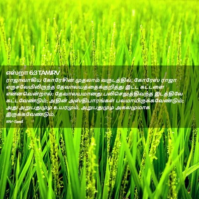 Picture 02 - எஸ்றா 6:3 TAMIRV - ராஜாவாகிய - Bible Verse Picture