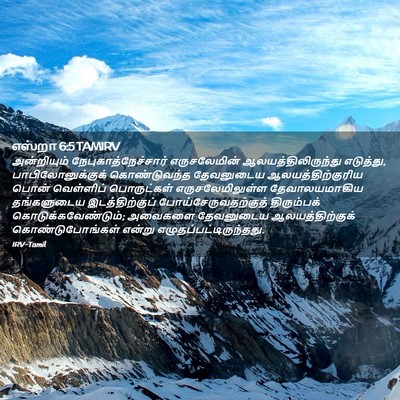 Picture 02 - எஸ்றா 6:5 TAMIRV - அன்றியும் - Bible Verse Picture