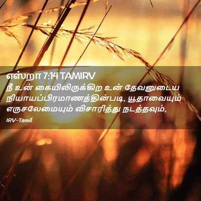 Picture 02 - எஸ்றா 7:14 TAMIRV - நீ உன் - Bible Verse Picture