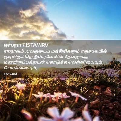 Picture 02 - எஸ்றா 7:15 TAMIRV - ராஜாவும் அவருடைய - Bible Verse Picture