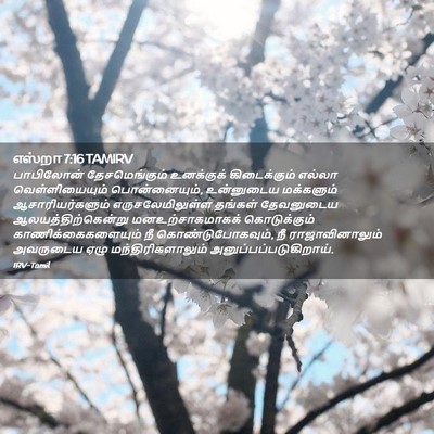Picture 02 - எஸ்றா 7:16 TAMIRV - பாபிலோன் - Bible Verse Picture