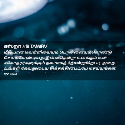 Picture 02 - எஸ்றா 7:18 TAMIRV - மீதியான - Bible Verse Picture