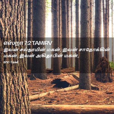 Picture 02 - எஸ்றா 7:2 TAMIRV - இவன் சல்லூமின் - Bible Verse Picture