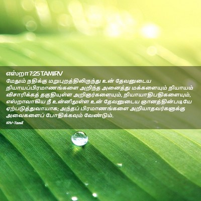 Picture 02 - எஸ்றா 7:25 TAMIRV - மேலும் நதிக்கு - Bible Verse Picture