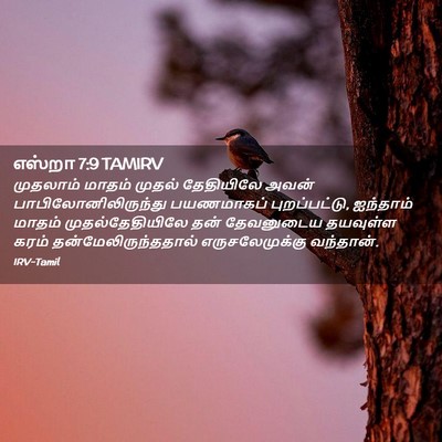 Picture 02 - எஸ்றா 7:9 TAMIRV - முதலாம் மாதம் - Bible Verse Picture
