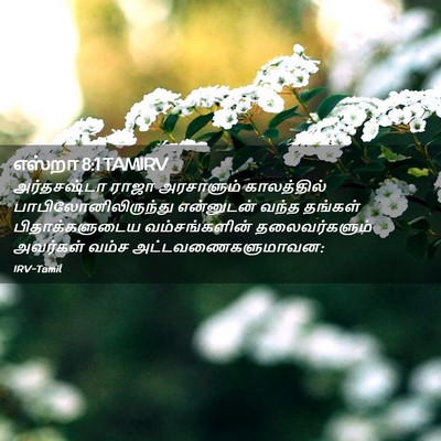 Picture 02 - எஸ்றா 8:1 TAMIRV - அர்தசஷ்டா ராஜா - Bible Verse Picture