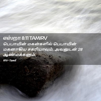 Picture 02 - எஸ்றா 8:11 TAMIRV - பெபாயின் - Bible Verse Picture