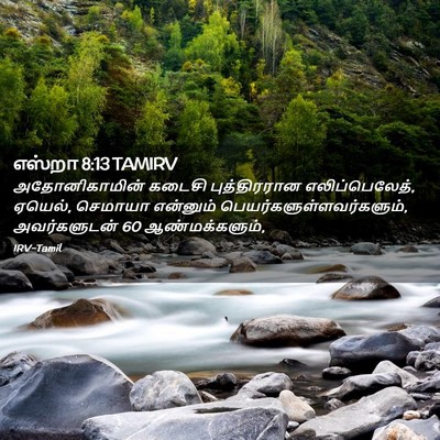 Picture 02 - எஸ்றா 8:13 TAMIRV - அதோனிகாமின் கடைசி - Bible Verse Picture