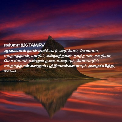 Picture 02 - எஸ்றா 8:16 TAMIRV - ஆகையால் நான் - Bible Verse Picture