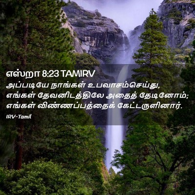 Picture 02 - எஸ்றா 8:23 TAMIRV - அப்படியே நாங்கள் - Bible Verse Picture