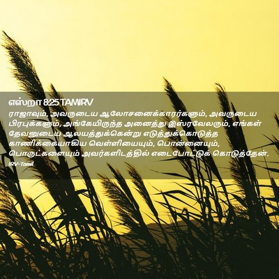 Picture 02 - எஸ்றா 8:25 TAMIRV - ராஜாவும், அவருடைய - Bible Verse Picture