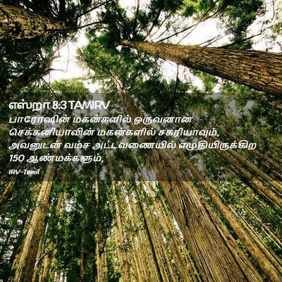 Picture 02 - எஸ்றா 8:3 TAMIRV - பாரோஷின் - Bible Verse Picture