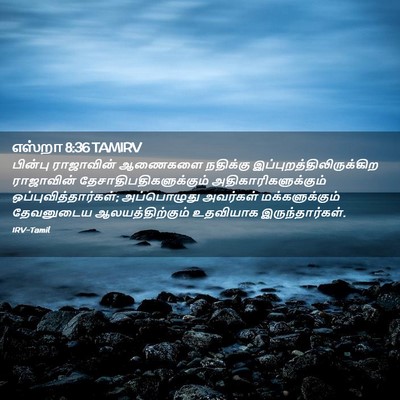 Picture 02 - எஸ்றா 8:36 TAMIRV - பின்பு ராஜாவின் - Bible Verse Picture