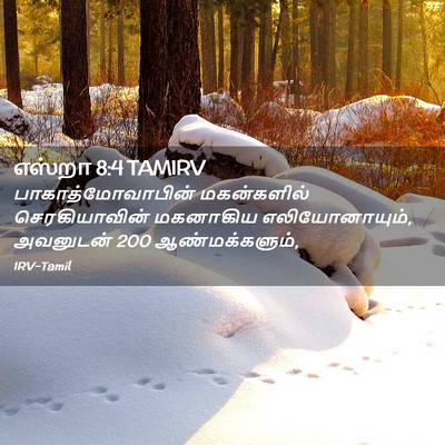 Picture 02 - எஸ்றா 8:4 TAMIRV - பாகாத்மோவாபின் - Bible Verse Picture